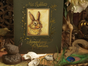 Illustrated Book by Charles van Sandwyk